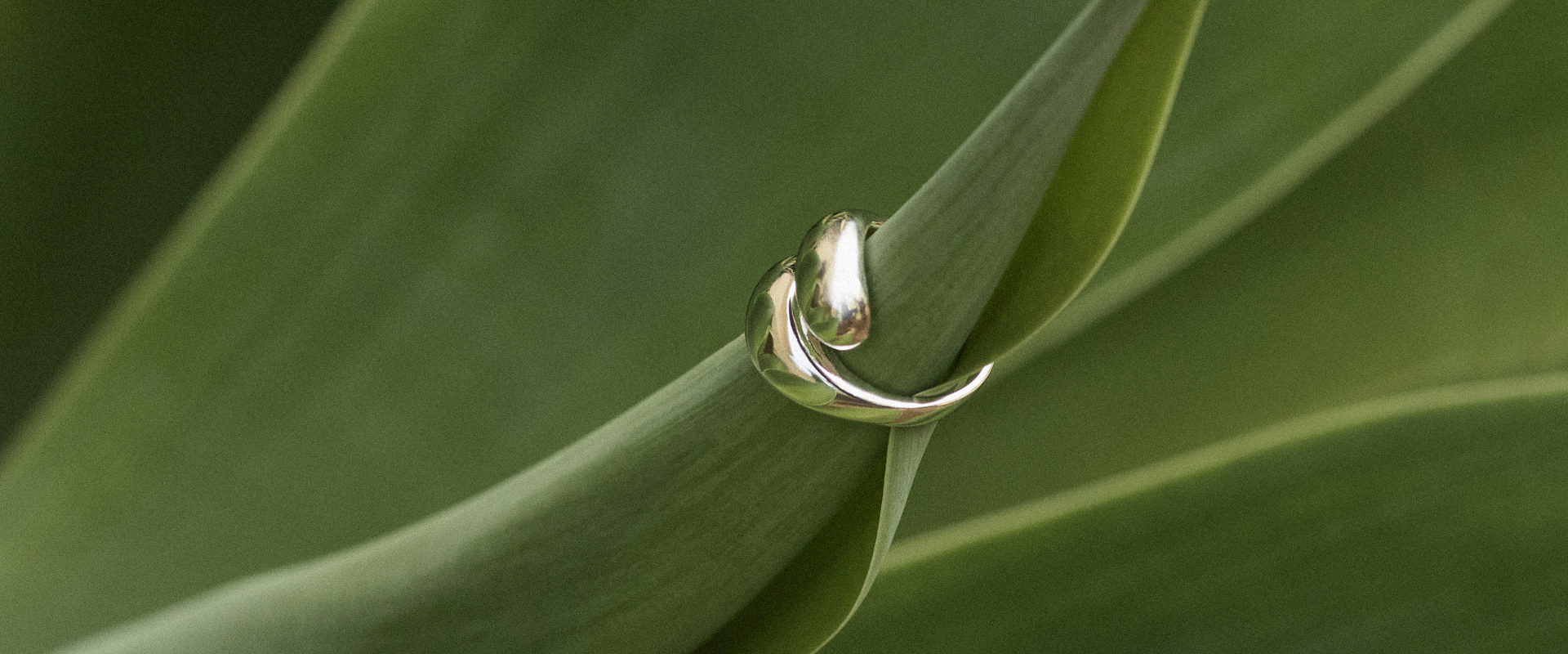 Nature as Renewal