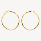 Odyssey Hoop Earrings