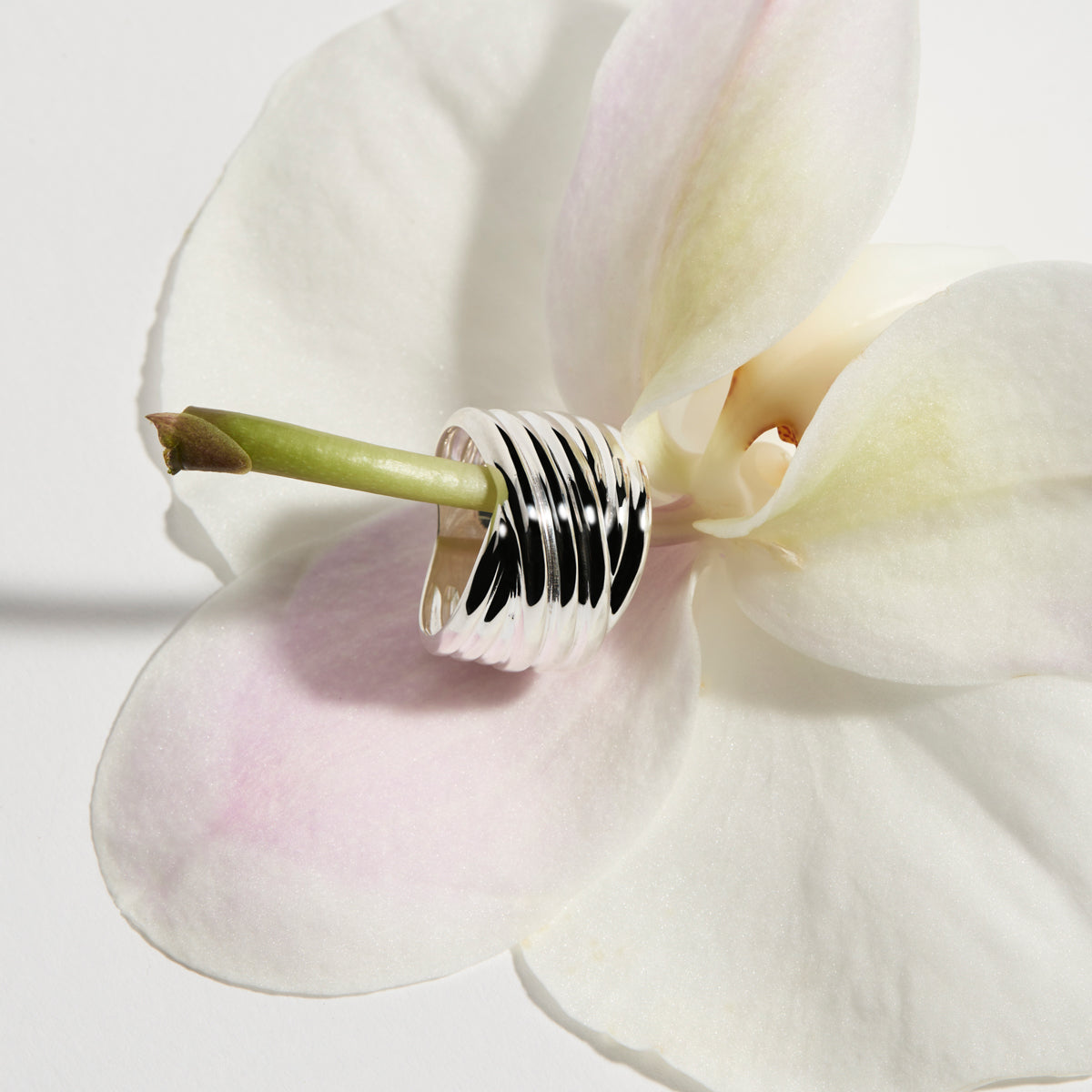 Murmur Ring