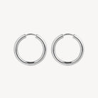 Subtle Huggie Earring